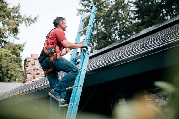 Trusted River Park, FL Roofing Service Experts